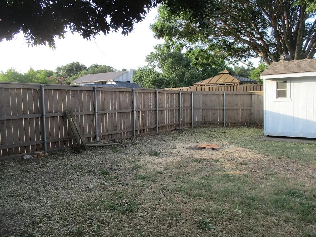 Cleared yard after professional tree removal in Marblehead